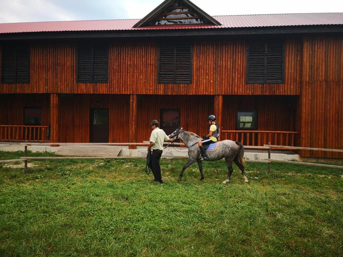 Hotel Carpathia เรเมซิ ภายนอก รูปภาพ