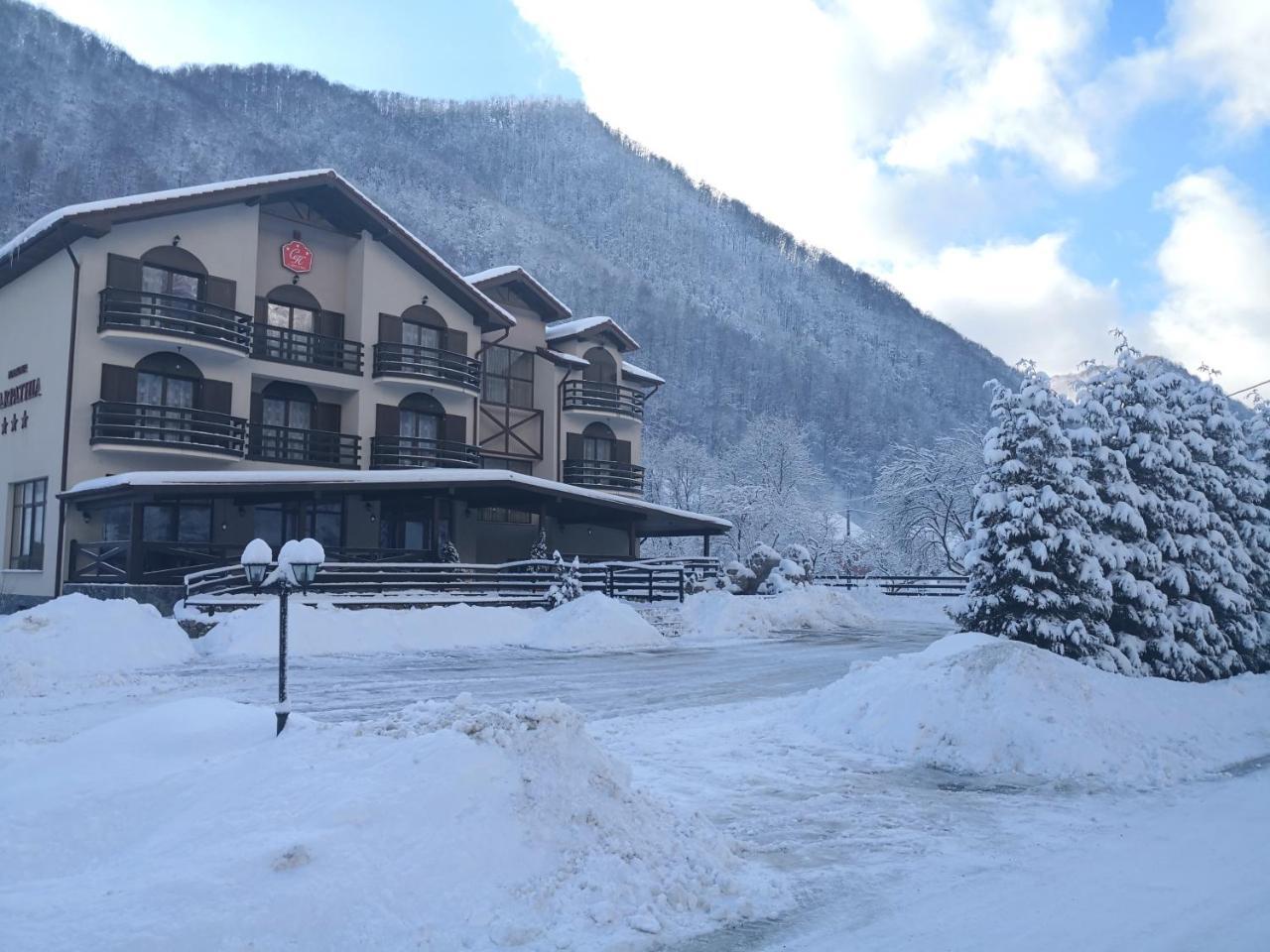 Hotel Carpathia เรเมซิ ภายนอก รูปภาพ